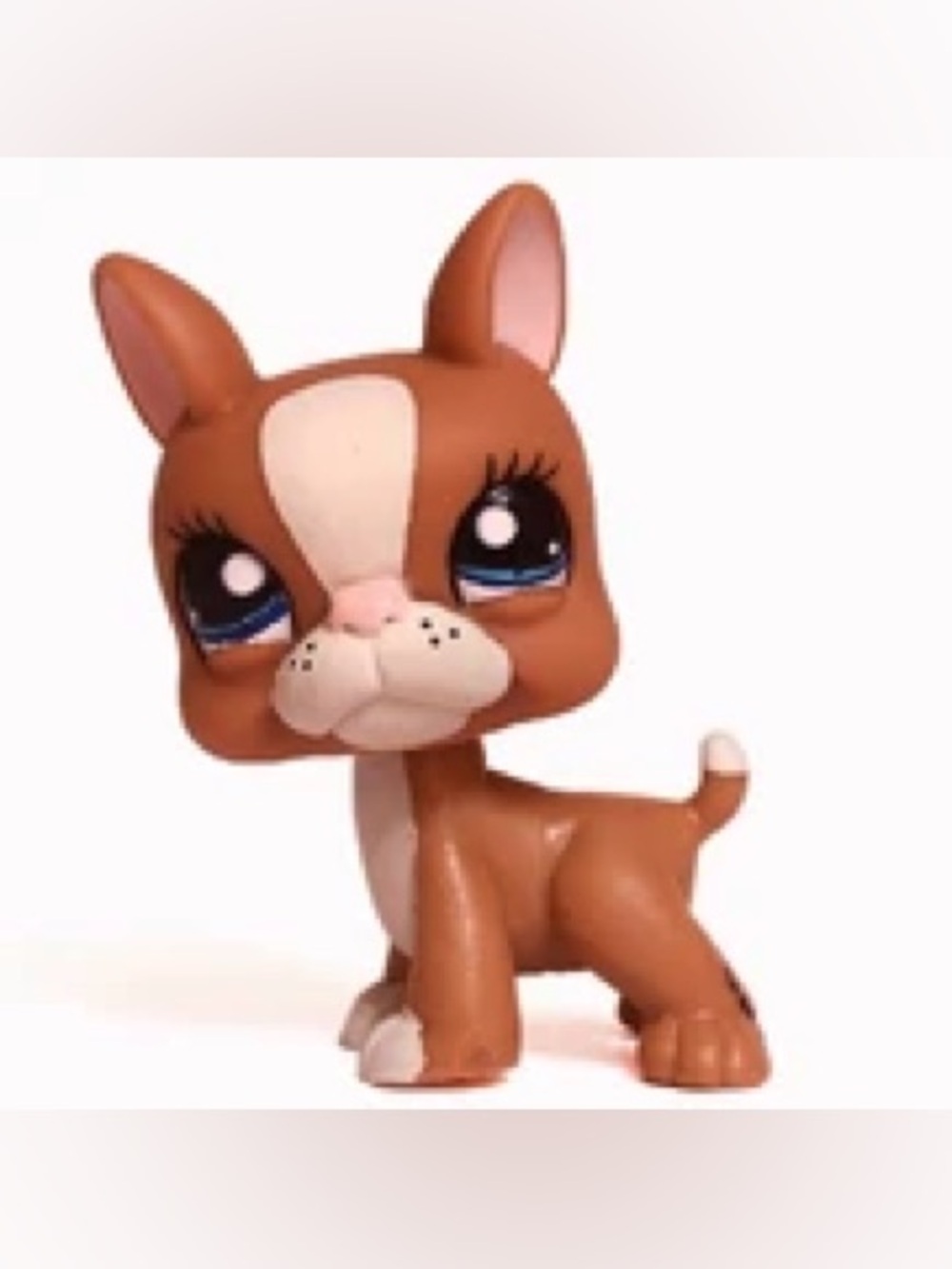 LPS Littlest Pet Shop n° 1079 Brown and white Boston Terrier dog 2004